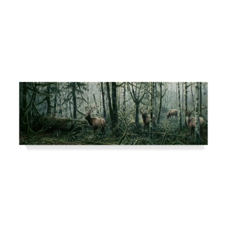 Jeff Tift 'Enchanted Forest' Canvas Art,10x32